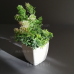 Decor MIniature - Bonsai Garden Tree pot